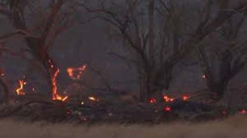 Incêndio florestal no Havai mata pelo menos 36 pessoas