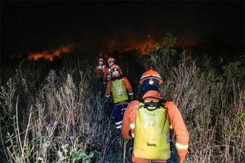 Mato Grosso do Sul decreta emergência por incêndios no Pantanal