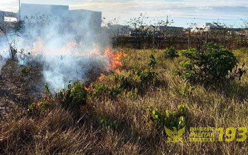 Princípio de incêndio atinge vegetação em Marechal Deodoro