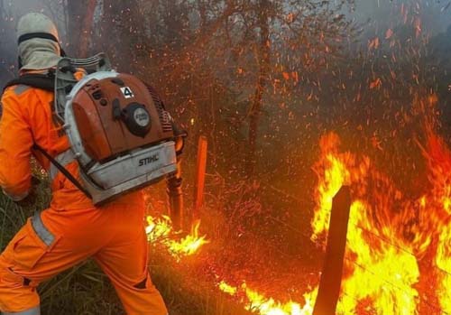 Operação de Combate a Incêndio Persistente no Sul de Minas Conta com Apoio de Brigadistas