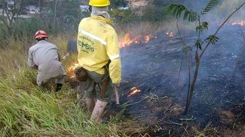 Pantanal: MS e MT registram aumento de 1000% nos focos de incêndios