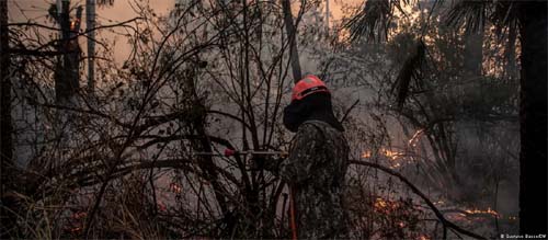 A luta contra o tempo para evitar uma tragédia no Pantanal