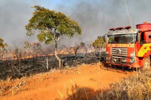 Incêndio destrói 15 mil hectares do Parque Nacional das Emas em Goiás