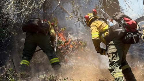 Extensas queimadas na Patagônia Argentina ameaçam comunidades e biodiversidade