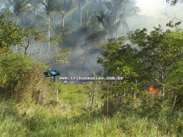 Tv Tribuna União - Dois incêndios nesta segunda feira (21) destroem parte da Mata Atlântica em União dos Palmares