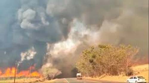 Onda de incêndios atinge cidades do interior de SP e mata dois funcionários de usina; nuvem de fumaça chega à capital