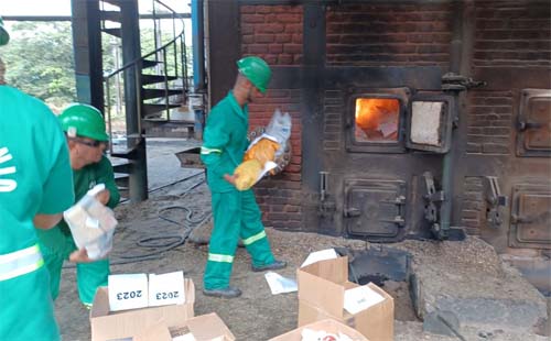 PC incinera aproximadamente 100kg de drogas em interior de Alagoas?