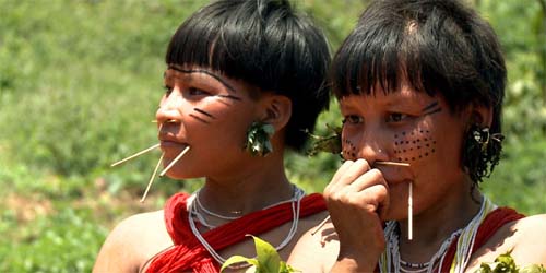 Militares vão distribuir mais de 12 mil cestas básicas aos yanomami