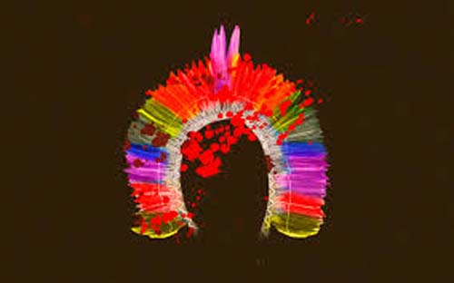 Tragédia no Mato Grosso do Sul: indígena Guarani Kaiowá é morto em ataque violento