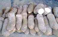 Municípios