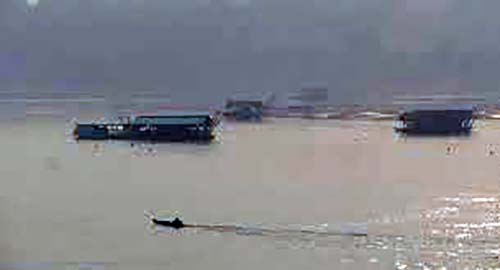 Invasão de guerrilheiros e atenção de 'países poderosos' na Amazônia ameaçam soberania do Brasil?