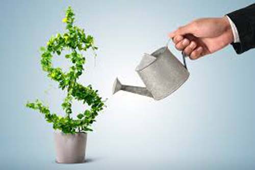 Brasileiros investiram 13,4% a mais em 2020, maior alta da história