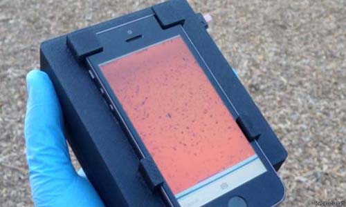 Sistema permite que smartphone identifique parasitas