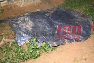 Irmãos são assassinados a tiros na porta de casa