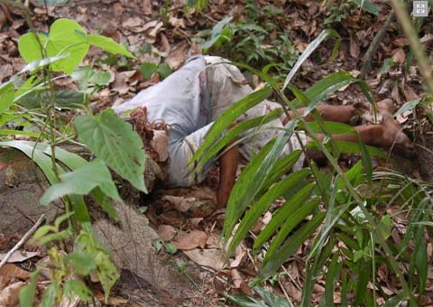 Populares encontram corpo de jovem crivado de balas em área de mata em São Miguel dos Campos