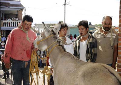 Suspeitos de roubo são amarrados em burro