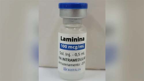 Aprovação da Anvisa para Pesquisa Clínica com Novo Tratamento de Lesão na Medula Espinhal