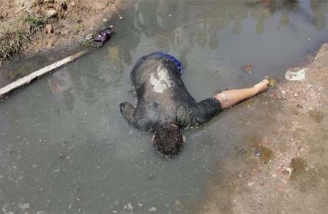 Jovem morre afogado em poça d’água em São José da Tapera 