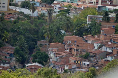Sesau alerta para a importância do diagnóstico, tratamento e prevenção da Leishmaniose
