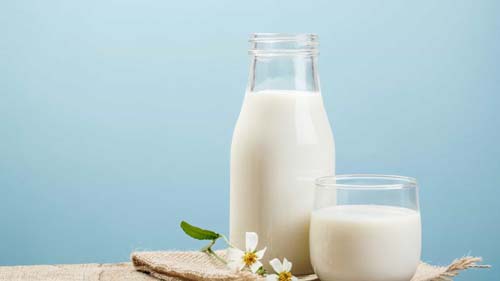 Mitos e verdades: tudo que precisa saber sobre intolerância à lactose