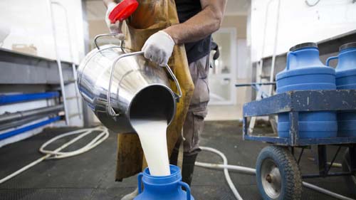 Portugal negocia com Brasil venda de leite dos Açores
