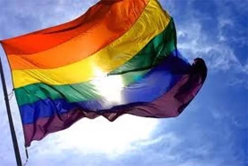 LGBTfobia: Número de denúncias deste ano já supera o total de 2023, alerta Secretaria
