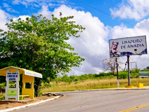 Bandidos invadem depósito de bebidas e roubam cervejas, whisky e dinheiro