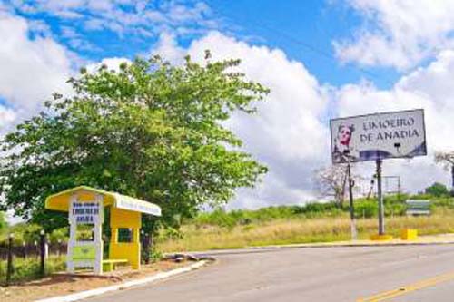 Homem mata irmão e fere colega a golpes de enxada