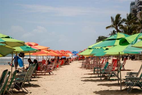 2025 Pode Ser o Segundo Ano Mais Quente da História Global