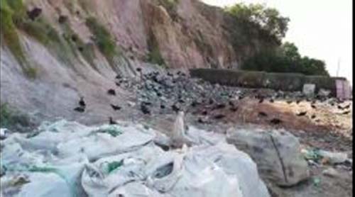 Excesso de lixo preocupa controle da Covid em São Luís do Quitunde