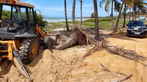 Sutiã e ossos humanos são encontrados no mesmo local onde crânio foi encontrado