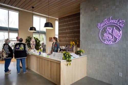 Maconha impulsiona turismo nos EUA. Conheça as regras para não se dar mal  