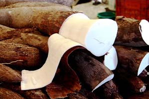 Municípios