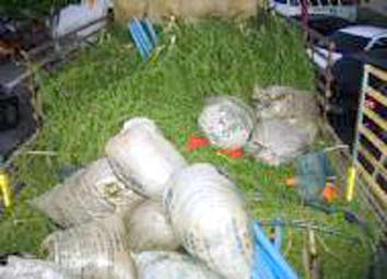Municípios