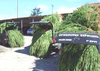 Municípios