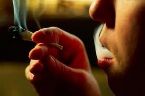 Governo do Uruguai propõe estatizar produção e comércio de maconha para controlar o consumo