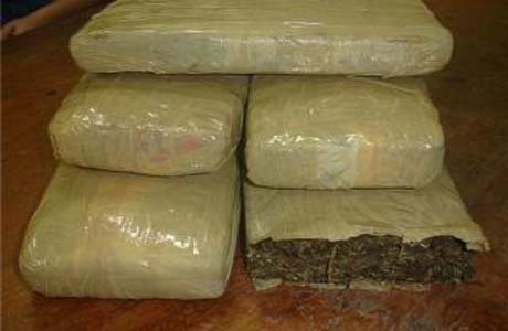 Bope desarticula quadrilha de tráfico de drogas no Clima Bom