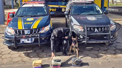 Mulher é detida ao tentar levar mais de 15 kg de drogas na BR 101, em Alagoas