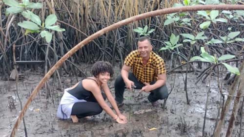 Ambientalistas independentes replantam mudas em manguezal alagado pela Braskem em Maceió