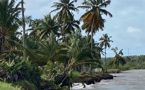 Prefeitura de Maragogi decreta situação de emergência por erosão marinha