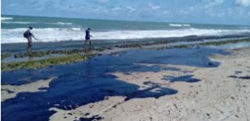 Dano embiental causado por derramamento de óleo ainda é encontrado em Maragogi