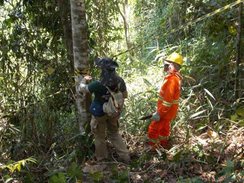 DNIT faz estudo para inventário florestal das obras de duplicação da BR-101 em São Miguel
