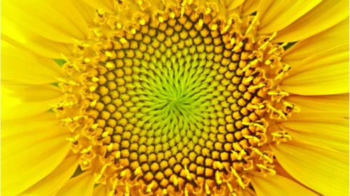 Matemática: o que falta descobrir e outras questões sobre essa fascinante ciência