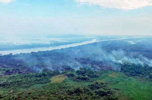 Mato Grosso do Sul decreta Estado de Emergência Ambiental