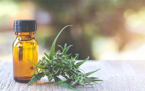 Justiça Federal de Alagoas determina fornecimento de medicamento à base de maconha para portador de polineuropatia diabética