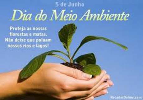 5 de junho: Dia Mundial do Meio Ambiente