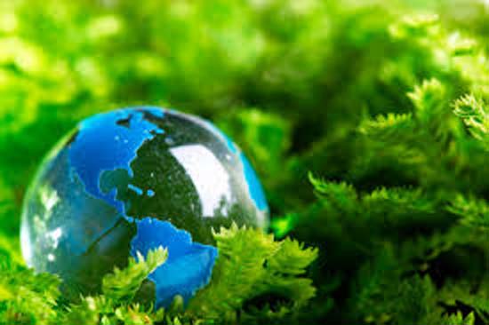Conferência de meio ambiente envolve mais de 70 mil escolas