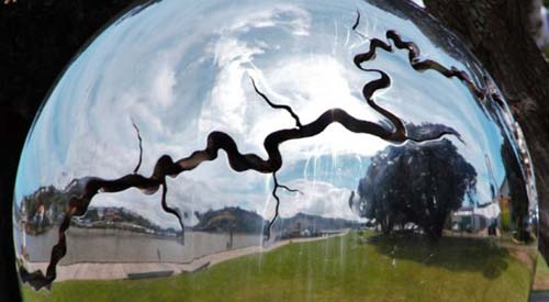 A destruição do meio ambiente e a abertura de espaços para novos vírus