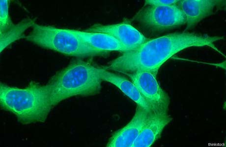 Cientistas usam vírus da herpes para curar câncer de pele