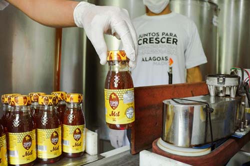 Alagoas Maior muda a vida de agricultores da região Serrana dos Quilombos